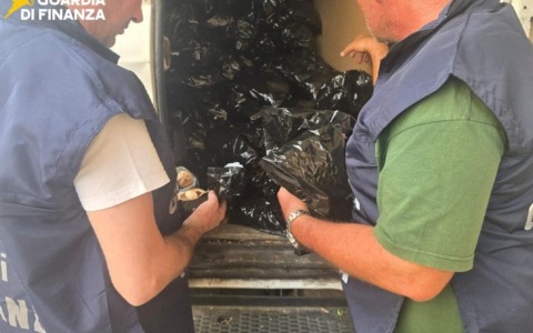 Scoperti 25 kg di papavero da oppio e tabacco, arrestato un pakistano