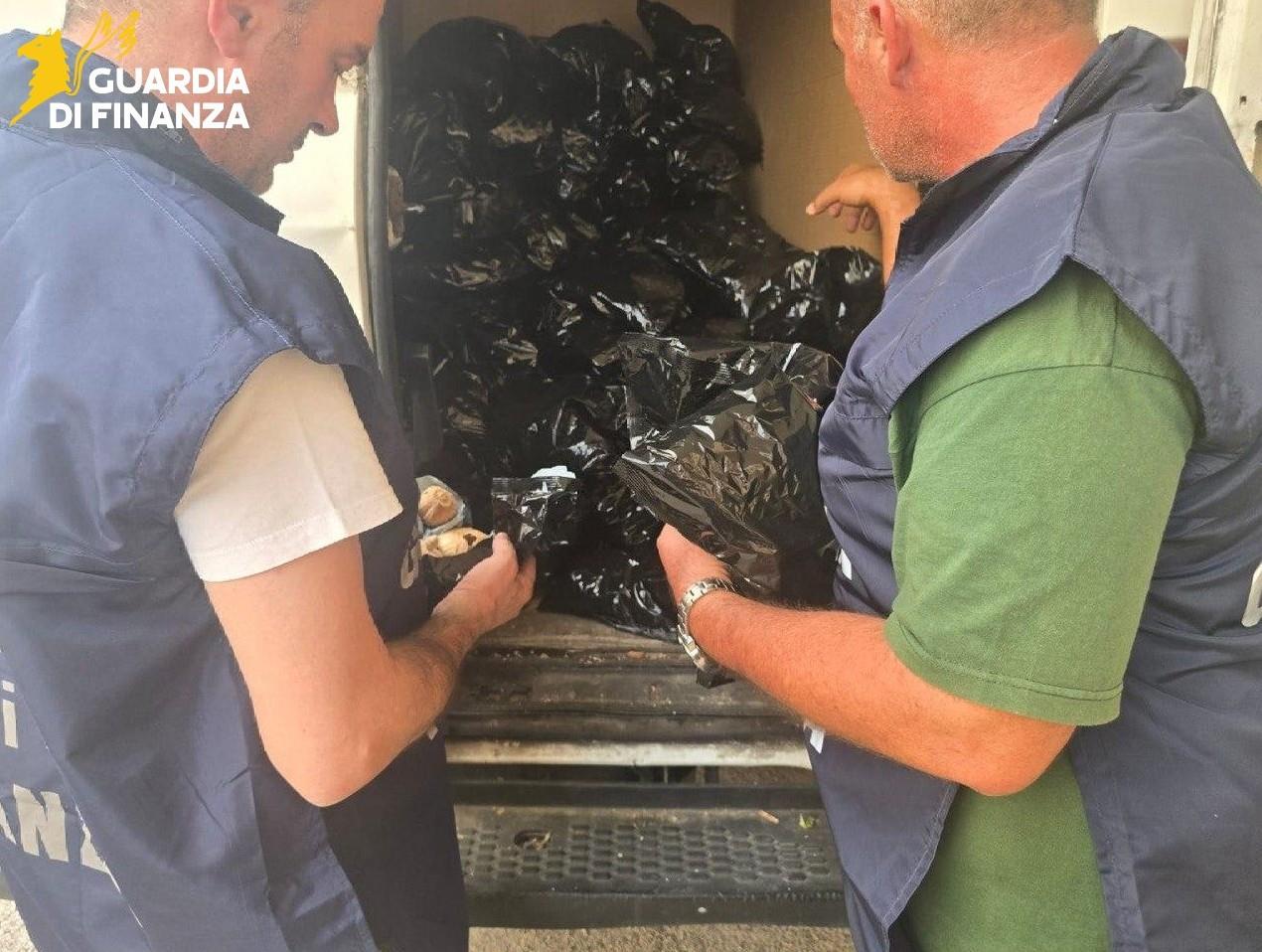 Scoperti 25 kg di papavero da oppio e tabacco, arrestato un pakistano