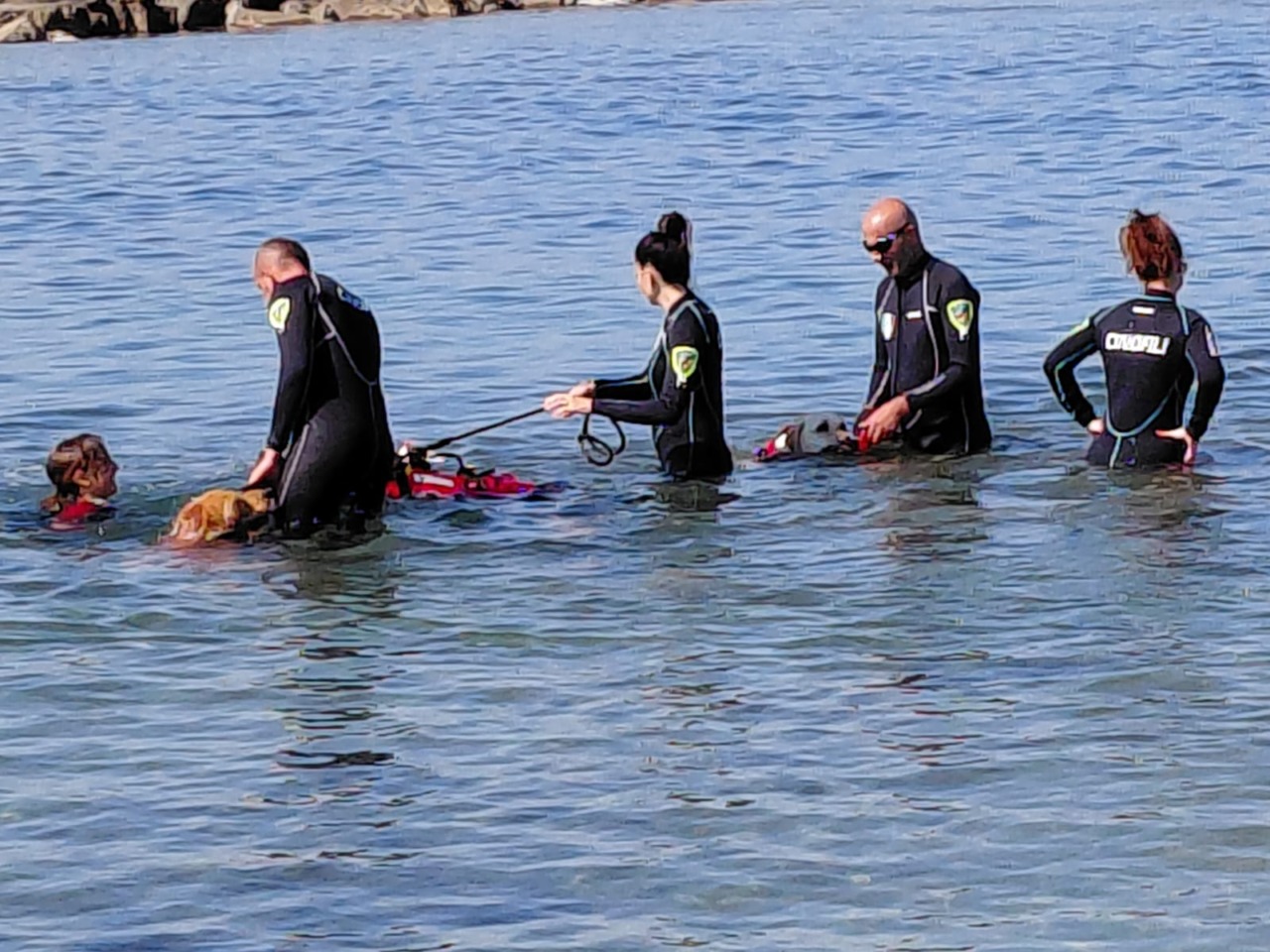 Cani da salvataggio in tour: inizia domani l’evento estivo