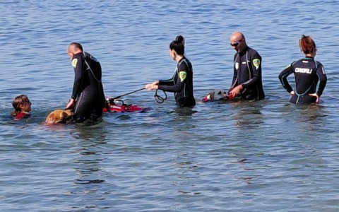 Cani da salvataggio in tour: inizia domani l’evento estivo
