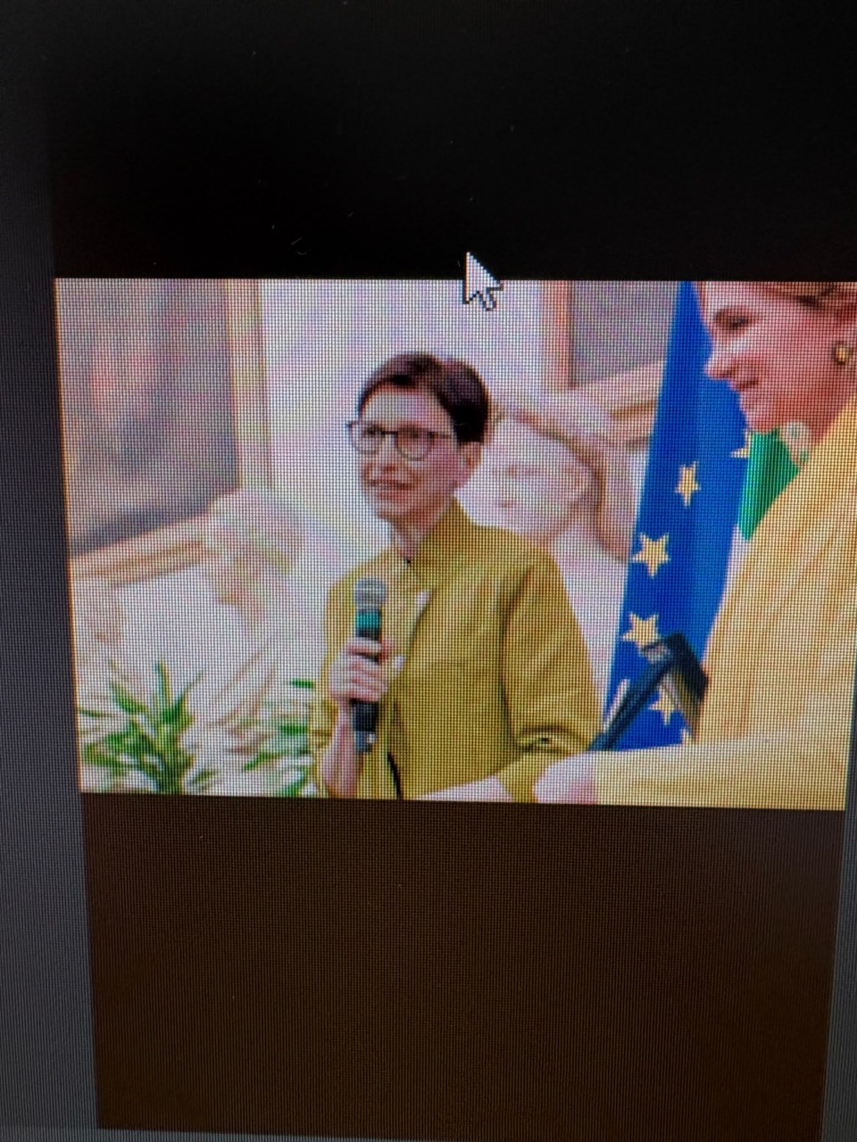 Raffaella Menichetti riceve il Premio Minerva 2026
