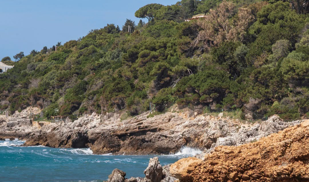 Navetta elettrica gratuita da sabato a Via delle Batterie