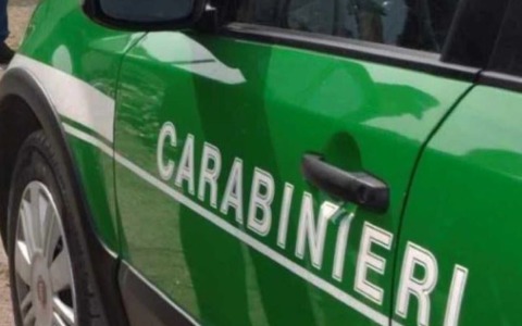 Sequestro di cantiere abusivo a Cori per sbancamenti illegali