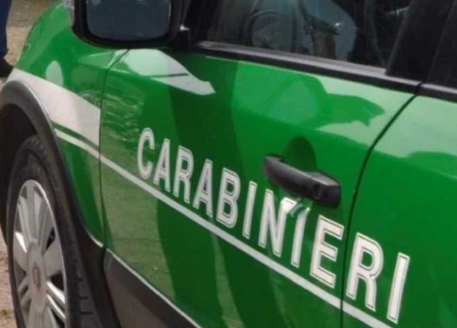 Sequestrati sei cani in condizioni disastrose a Maenza