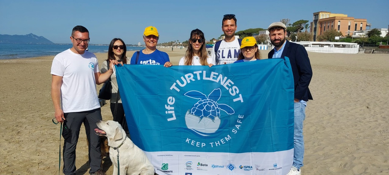 Scoperto nido di tartaruga caretta caretta a Terracina
