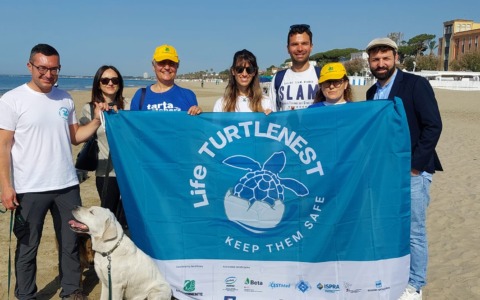 Scoperto nido di tartaruga caretta caretta a Terracina