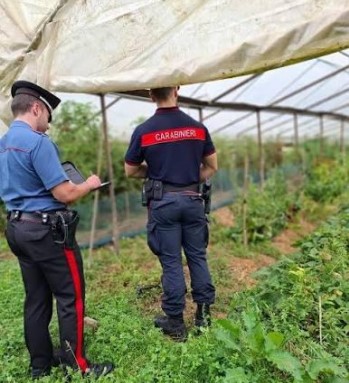 Tre imprenditori agricoli denunciati per lavoro irregolare