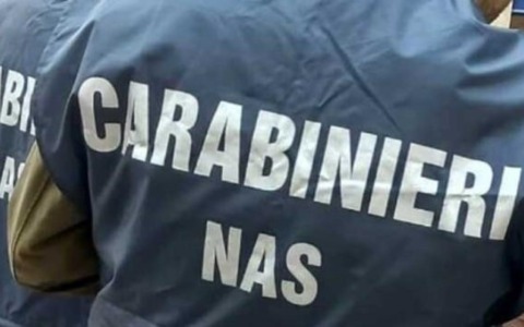 Operazione dei NAS a Latina: chiuse due attività per gravi irregolarità