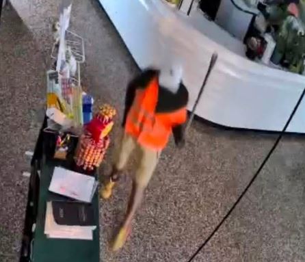 Furto al Caffè Poeta: la cultura alsalvavita