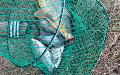 Pontinia, multe per pesca abusiva: soccorso anche dopo un incidente