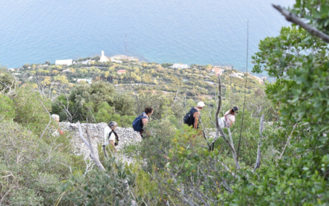 Passeggiate Poetiche, cammino al tramonto e cinema al Faro