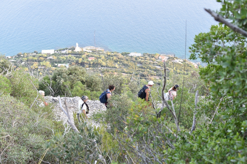 Passeggiate Poetiche, cammino al tramonto e cinema al Faro