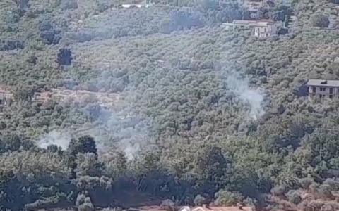 Incendio in Boschetto, Vigili del Fuoco al lavoro