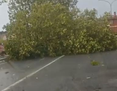Temporale tra Ardea e Aprilia: allagamenti e alberi caduti