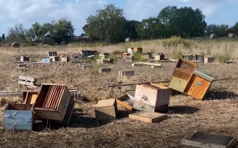 Maltempo, distrutte oltre 50 arnie tra Borgo Sabotino e Piave