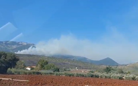 Roghi sui Monti Lepini, in fumo centinaia di ettari