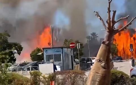 Incendio vicino all’ICOT: in fiamme un vivaio abbandonato