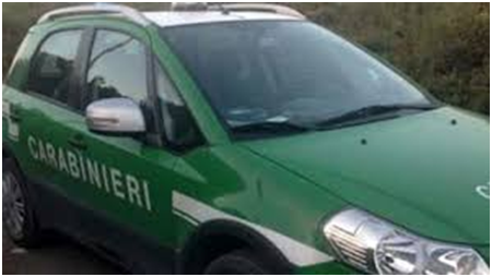 Si smarriscono sul sentiero vietato: recuperati e sanzionati
