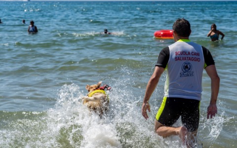 Terracina, NOS e unità cinofile in esercitazione a Bracciano